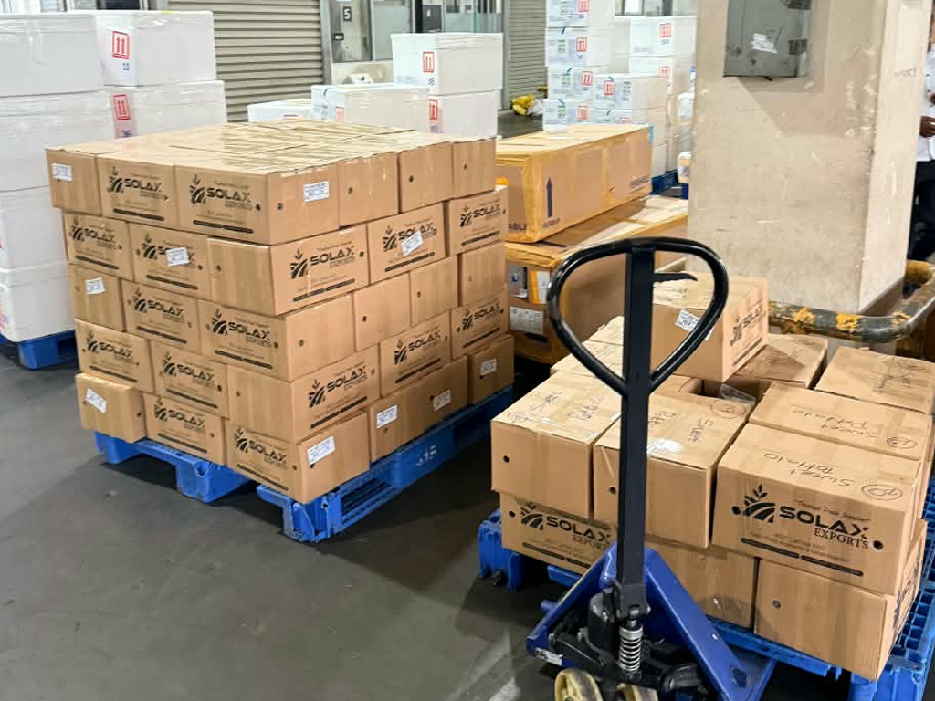 🌙 Ramadan 2026: Solax Export Strengthens Global Fresh Produce Supply with 30+ Shipments